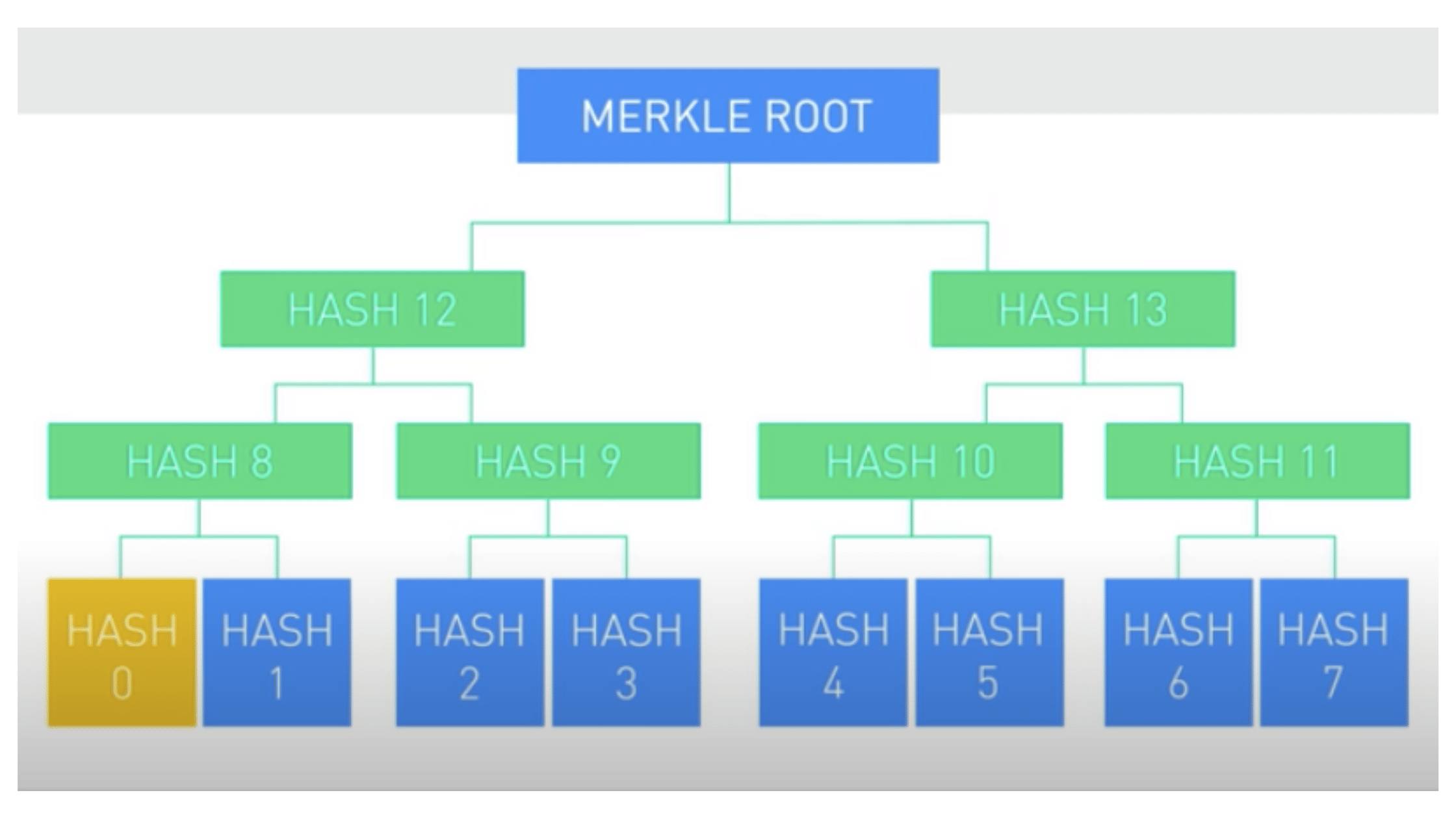 Po hašovaní všetkých transakcií z bloku sú hashe usporiadané do stromových štruktúr nazývaných “Merkle tree”. Jednotlivé hashe sú opakovane spájané do párov, až kým sa nedosiahne vrchol stromu, tzv. koreňový uzol Merkle stromu (ang. Merkle root). Merkle root predstavuje hash, ktorý zastupuje všetky hashe, z ktorých vznikol.